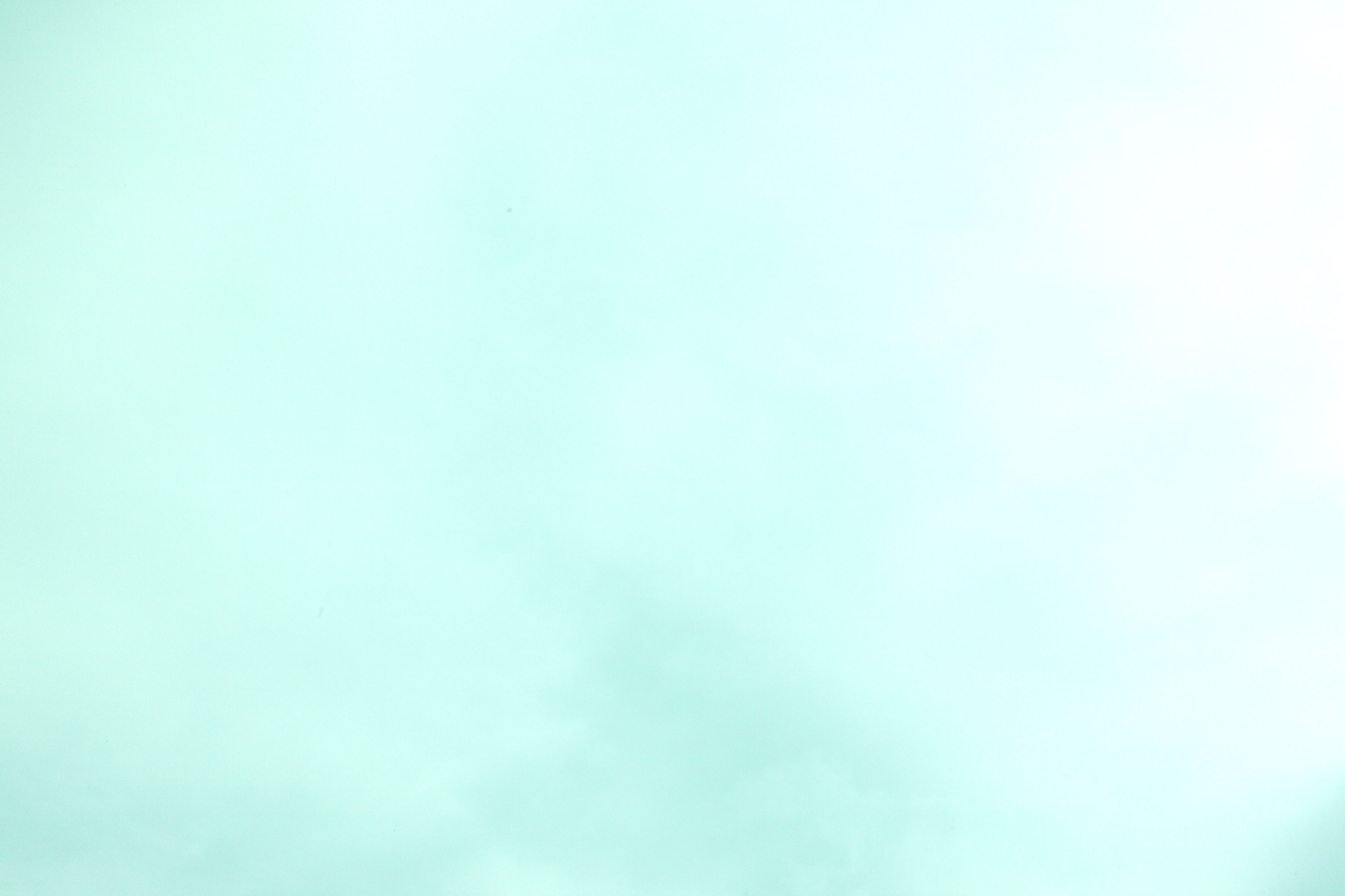 Seafoam Kitten Age