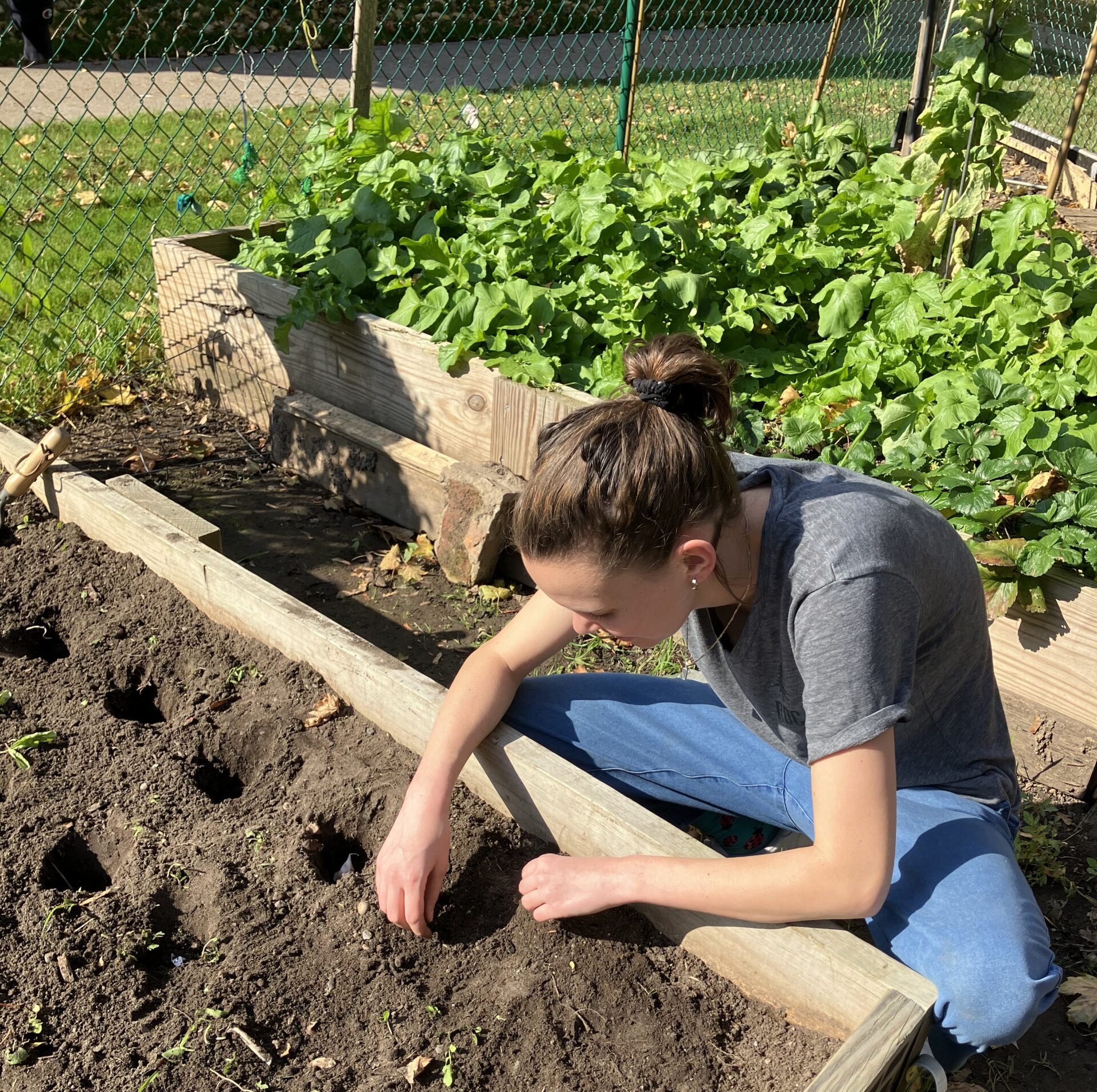 Fiona Ripp Fiona_plantinggarlic – Youth Year